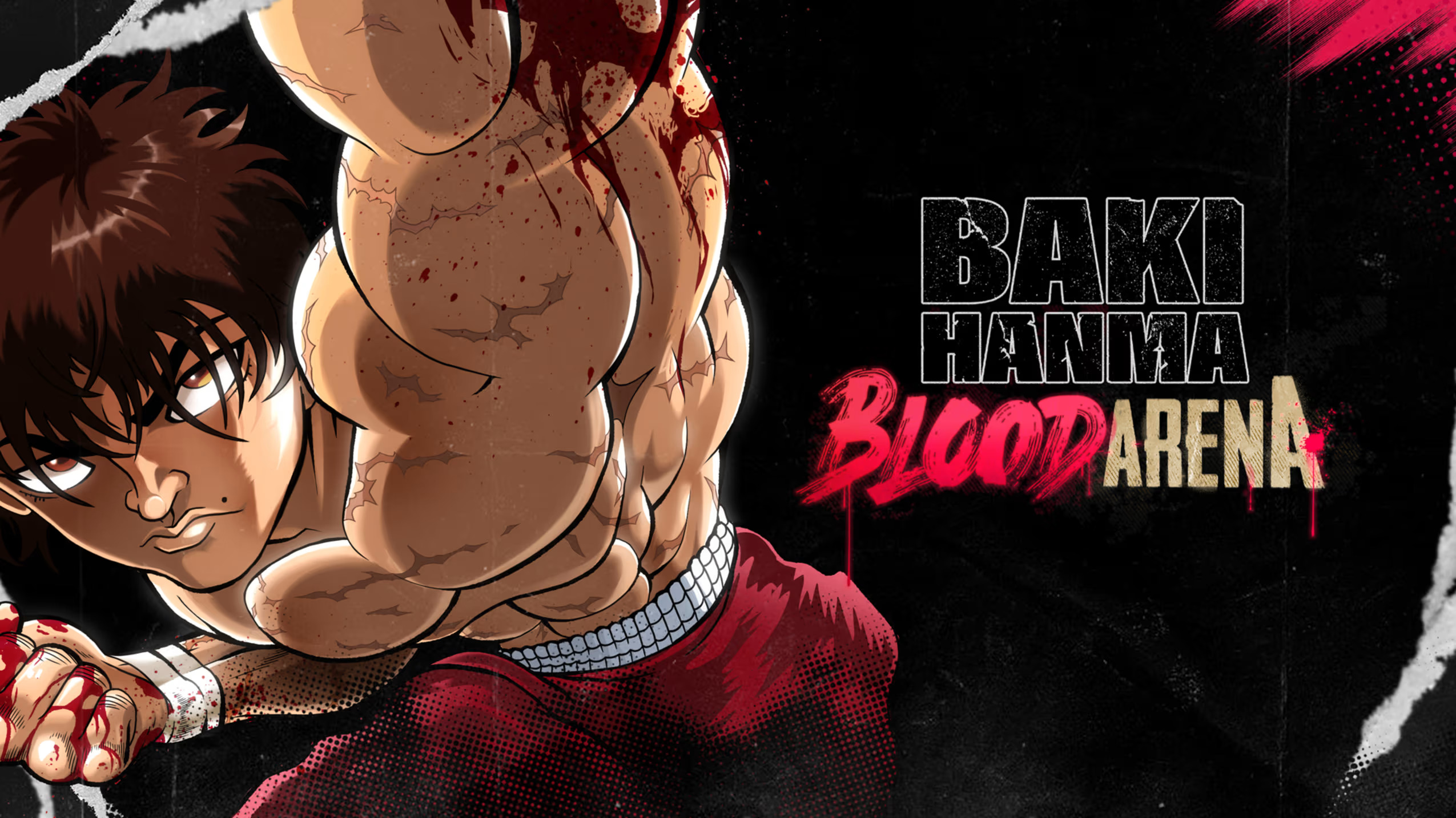 Baki Hanma: Blood Arena Switch NSP
