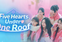 Five Hearts Under One Roof Switch NSP