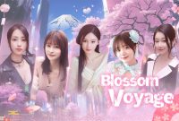 Blossom Voyage Switch NSP